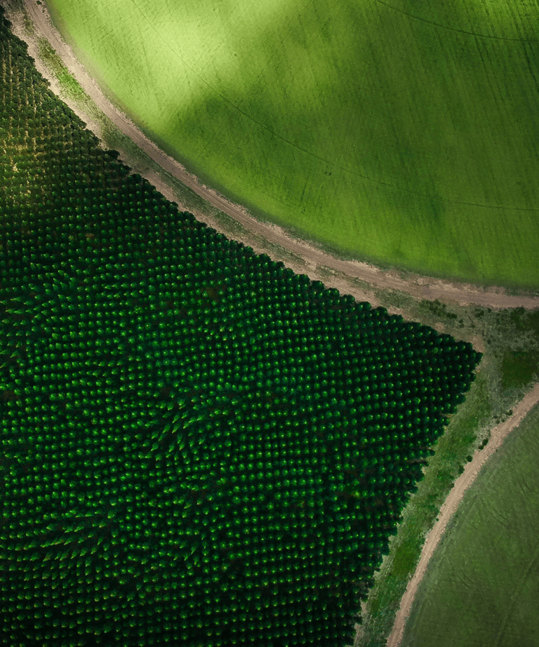 Aireal farmland